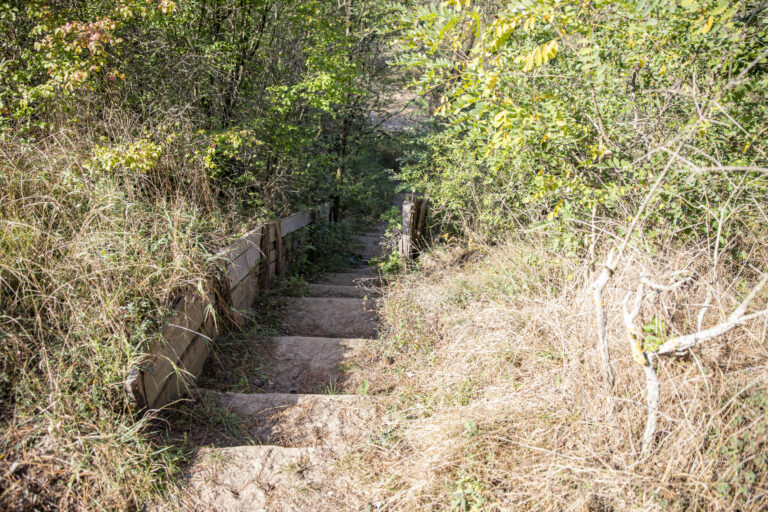 galeria_(10)