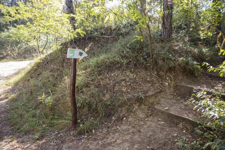 galeria_(9)
